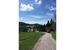 Cesta ke kostelu sv. Petra a Pavla