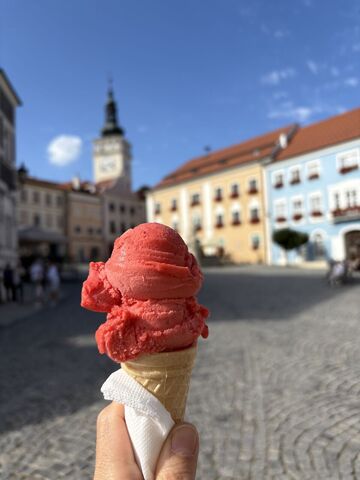 Vzpomínka na putování Modrými horami 