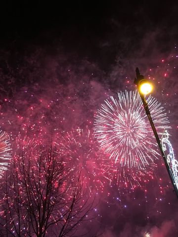PF 2019