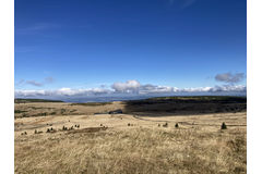 Krkonošská tundra
