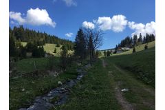 Eliščino údolí