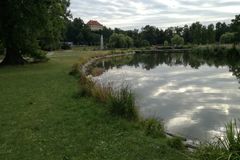 Piknik s jógou ve Stromovce